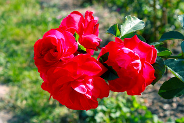 Similar image 800079