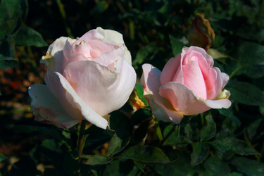 Similar image 800081