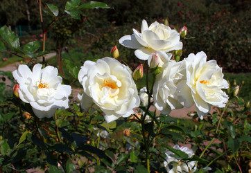 Similar image 800083