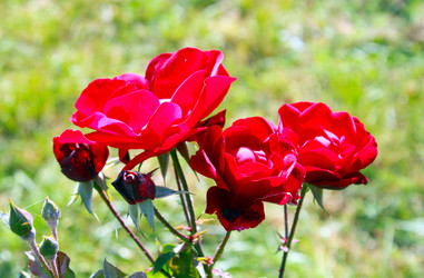 Similar image 800084