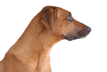 Similar image 800092