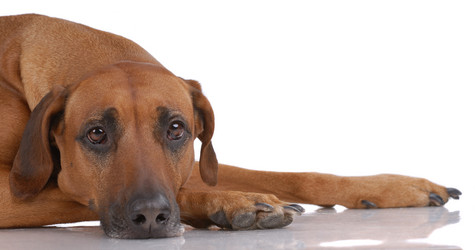 Similar image 800097