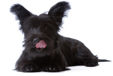 Similar image 800129