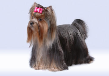 Similar image 800131