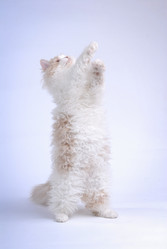 Similar image 800135