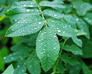 Similar image 800170