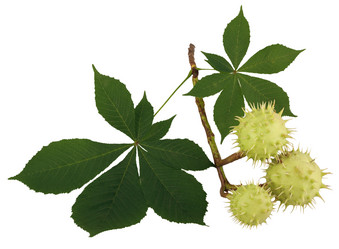 Similar image 800178