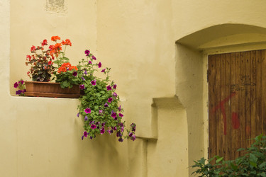 Similar image 800190