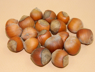 Similar image 800225