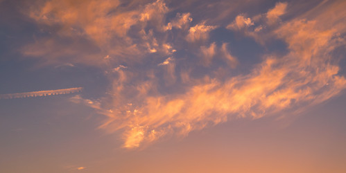 Similar image 800250