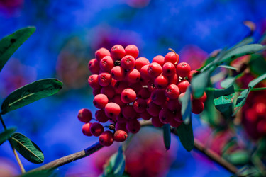 Similar image 800270