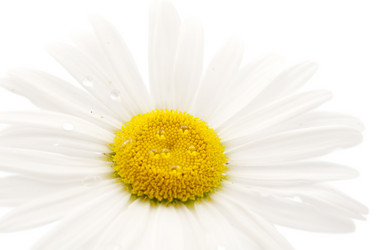 Similar image 800273