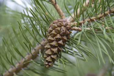 Similar image 800276