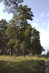 Similar image 800278