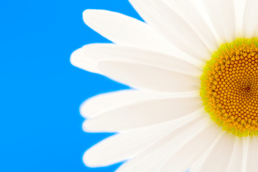 Similar image 800280