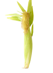 Similar image 800284