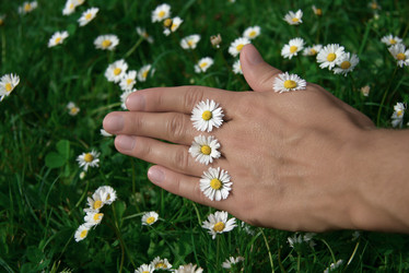 Similar image 800287