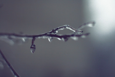 Similar image 800303