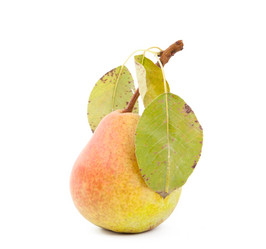 Similar image 800322