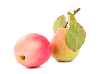 Similar image 800323