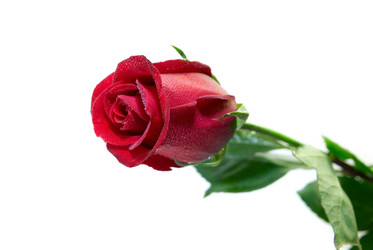 Similar image 800328