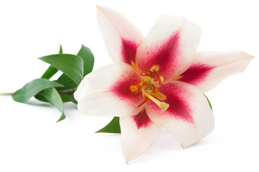 Similar image 800338