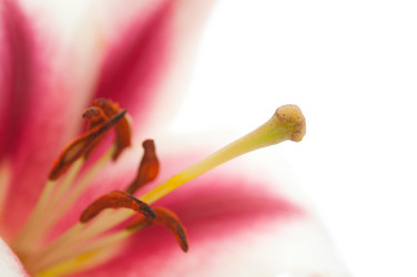 Similar image 800340