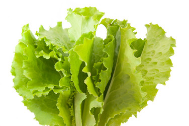 Similar image 800353