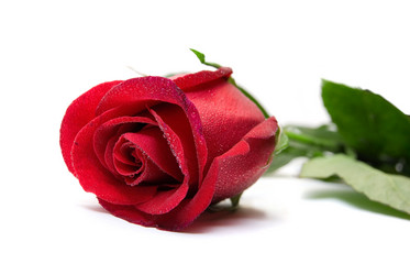 Similar image 800364