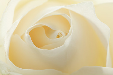 Similar image 800372