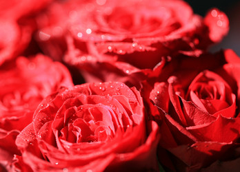 Similar image 800373