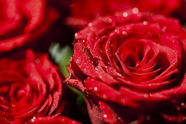 Similar image 800374