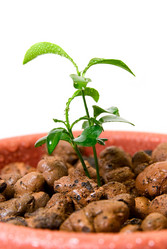 Similar image 800386