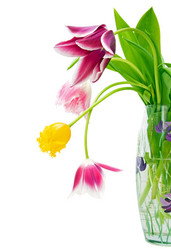 Similar image 800387