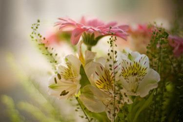 Similar image 800388