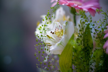 Similar image 800389