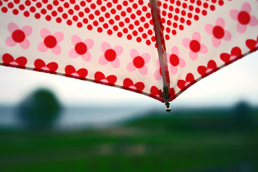 Similar image 800391