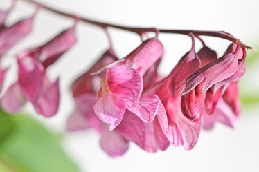 Similar image 800393