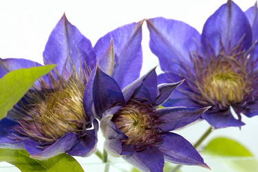 Similar image 800395