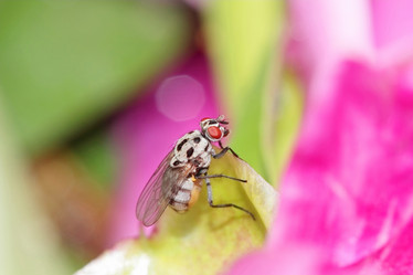 Similar image 800401