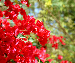 Similar image 800403