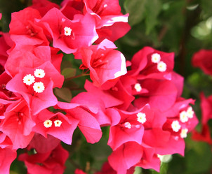 Similar image 800410