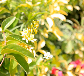 Similar image 800411