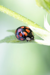 Similar image 800412