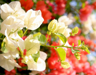 Similar image 800415