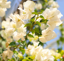 Similar image 800413