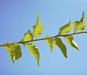 Similar image 800417