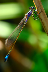 Similar image 800442