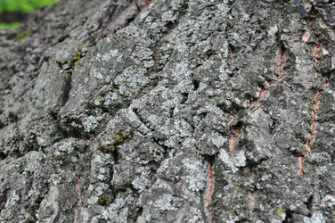 Similar image 800444