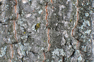 Similar image 800445